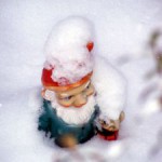 snowgnome