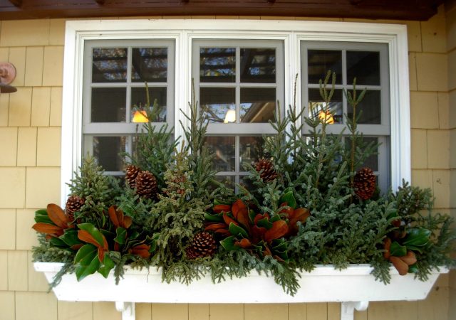 Winter Window Box with Spruce tips and magnolia
