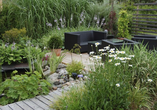 Backyard Boardwalk and Patio