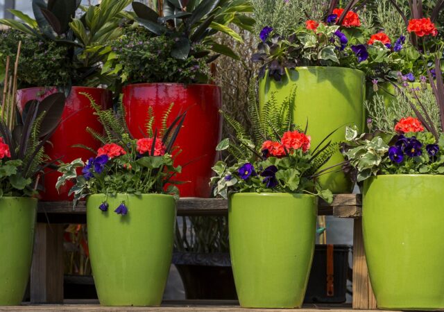Custom Container Display