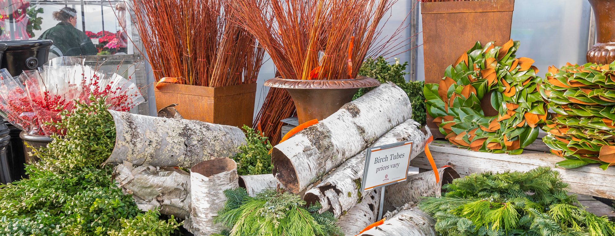 Winter Display with Greens, Birch Tubes, and Sticks