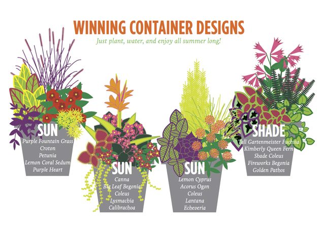 How to DIY Container Design