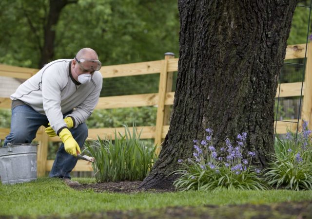 man spreading fertilizer in garden