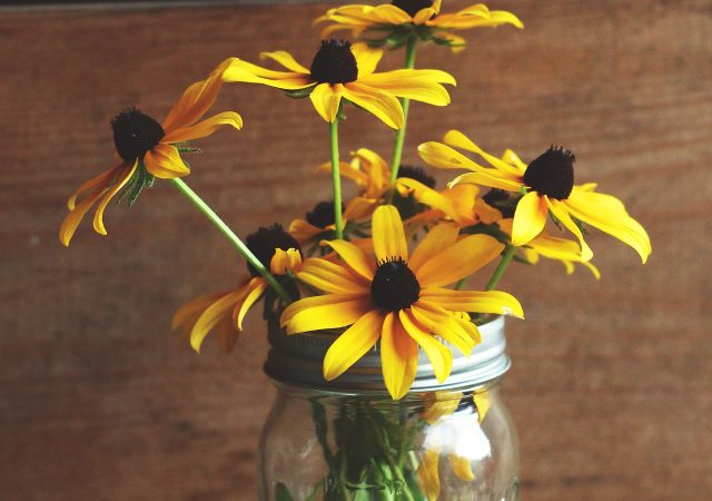 Rudbeckia Black Eyed Susan in mason jar