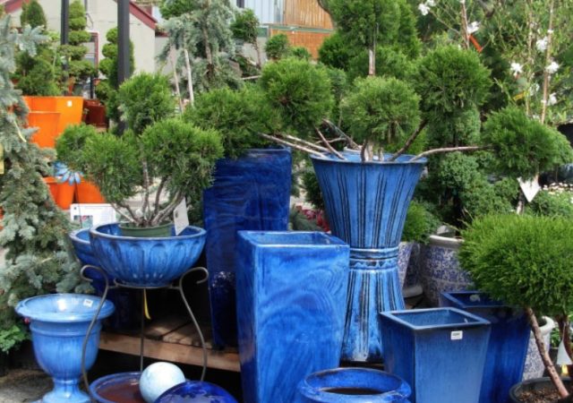 Ceramic Pots Blue