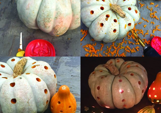 carve specialty pumpkins and gourds pumpkins halloween decorate