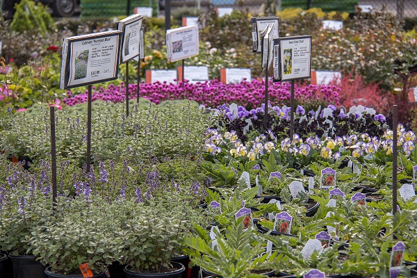 Spring Perennial Table