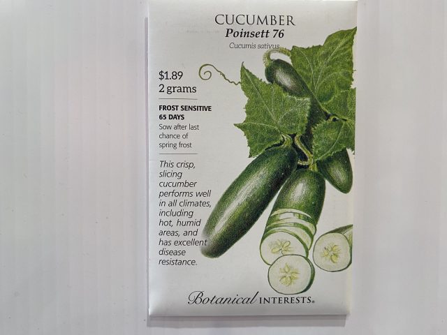 Cucumber poinsett 76