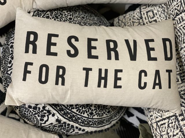 Reserved for the Cat