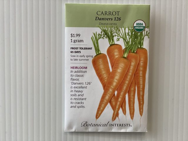 Carrot Danvers 126