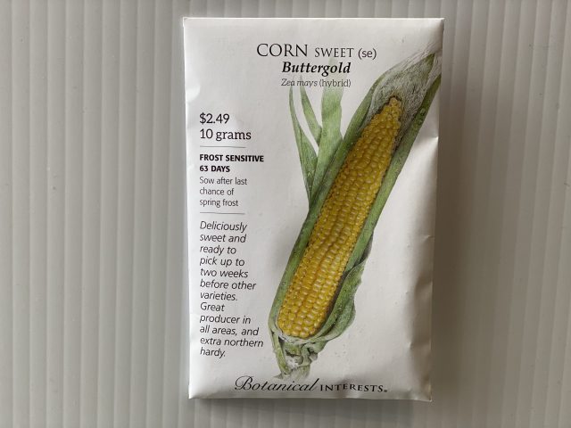 Corn Sweet