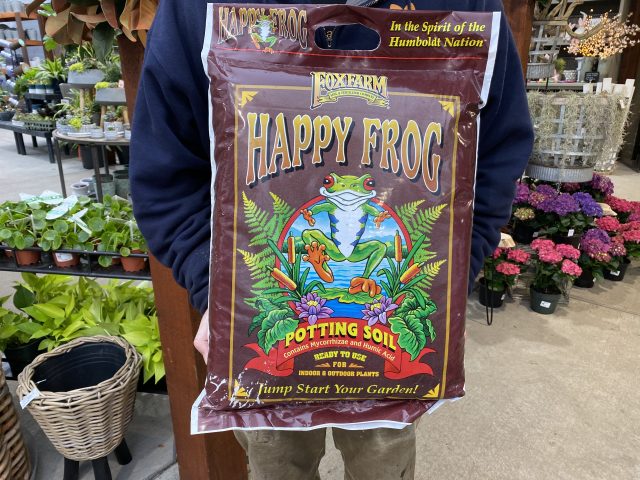 happy Frog