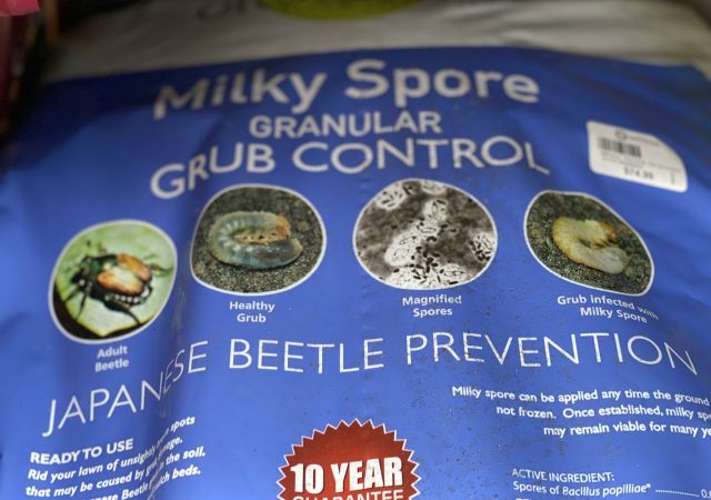 Milky Spore Granular Grub Control