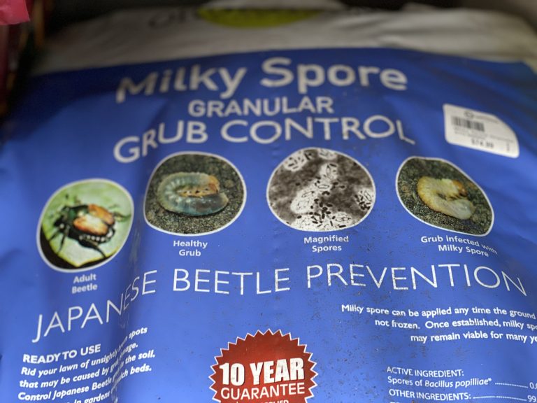 grub control with milky spore home depot