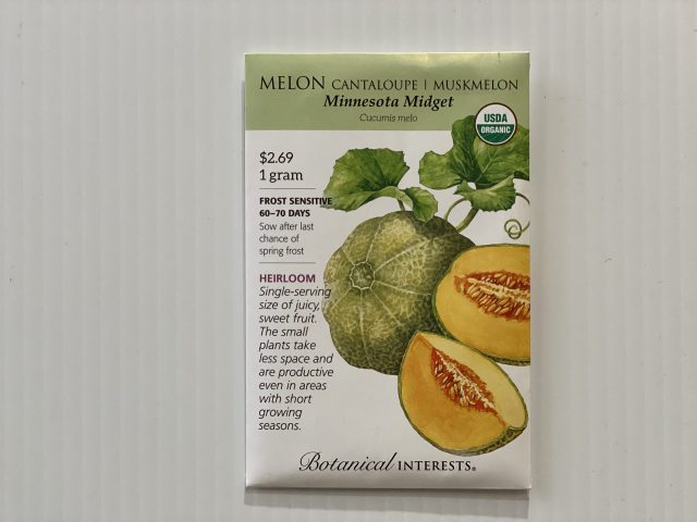 Melon Muskmelon Minnesota Midget