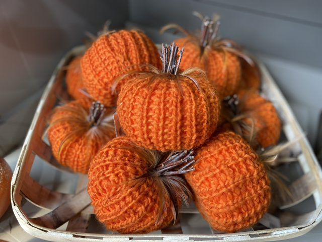 seasonal pumpkin
