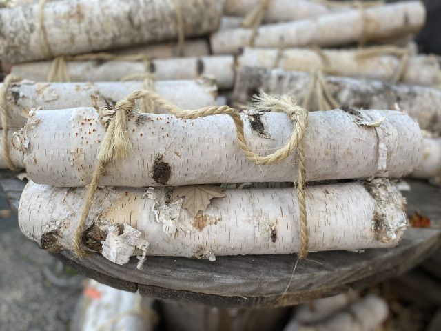 birch log bundle