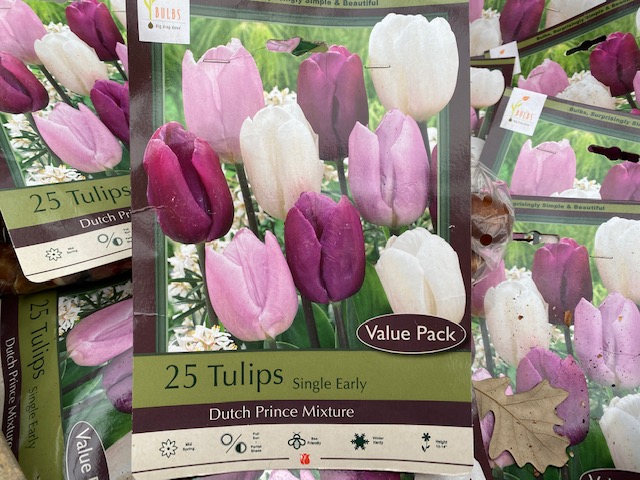 Tulip Mix