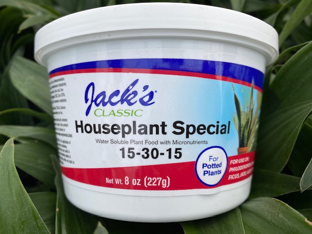 jacks Houseplant Special