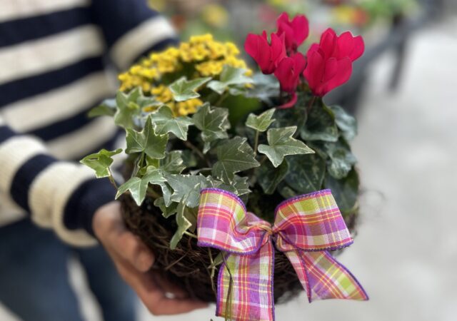 Blooming Basket