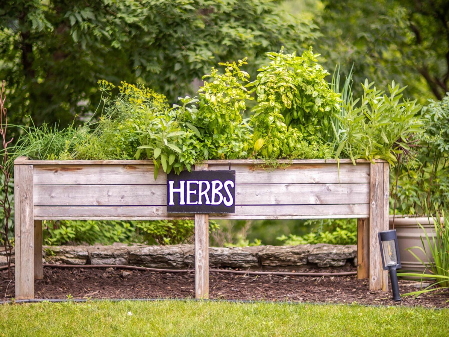 landscape construction, raised bed of herbs