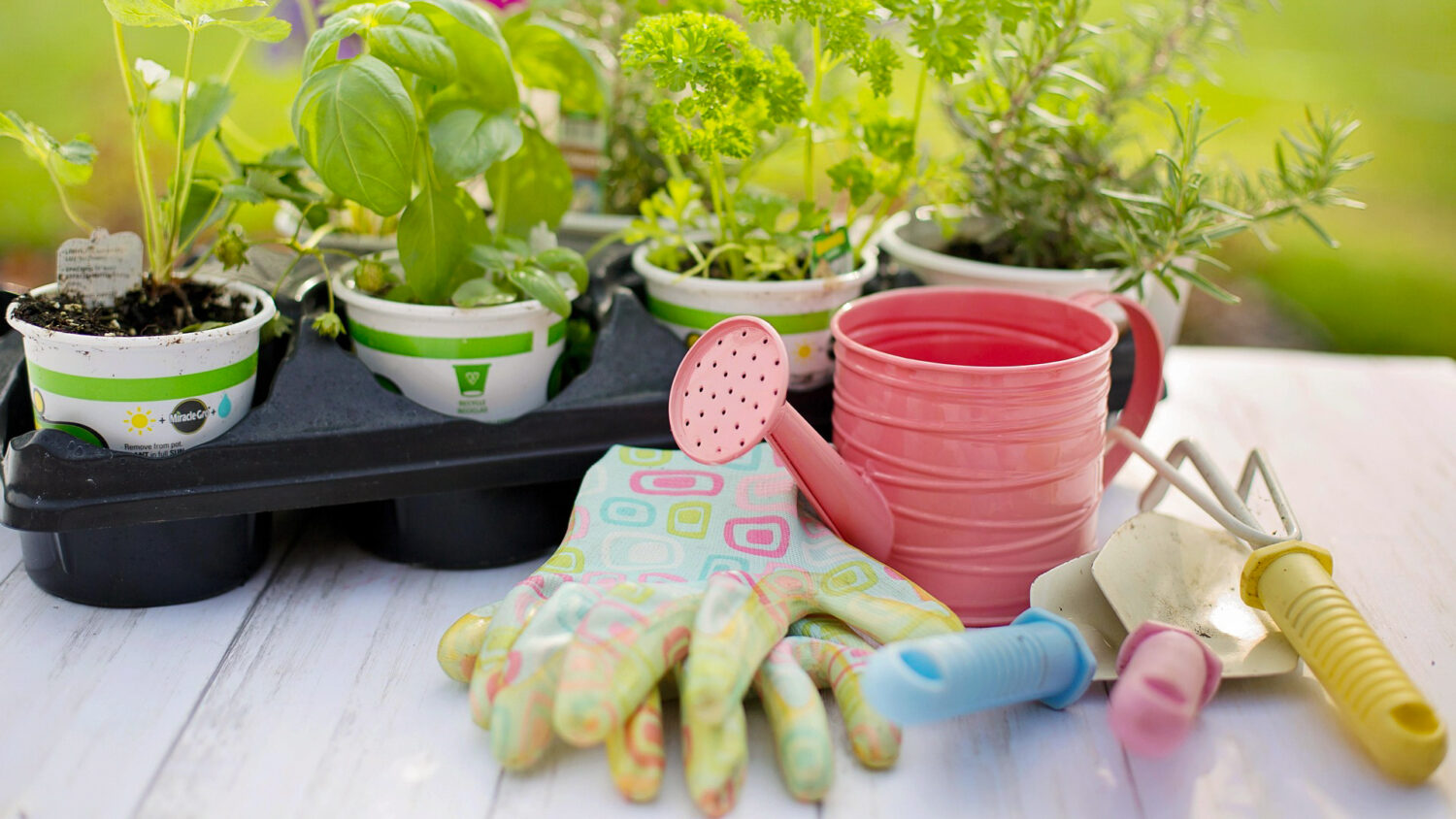 last frost date, frost free gardening