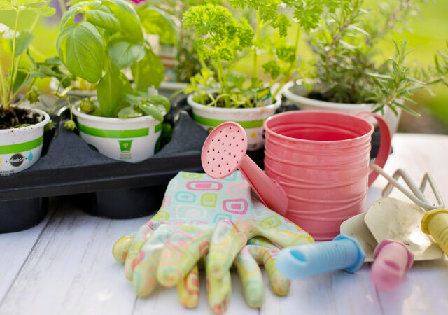 last frost date, frost free gardening