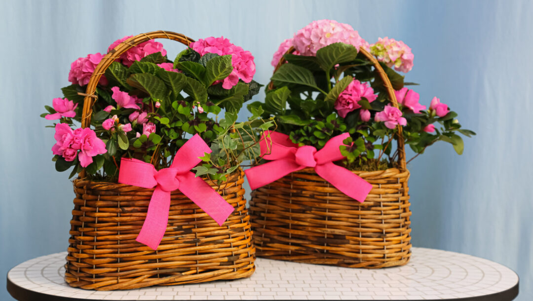 live floral arrangements, custom arrangement