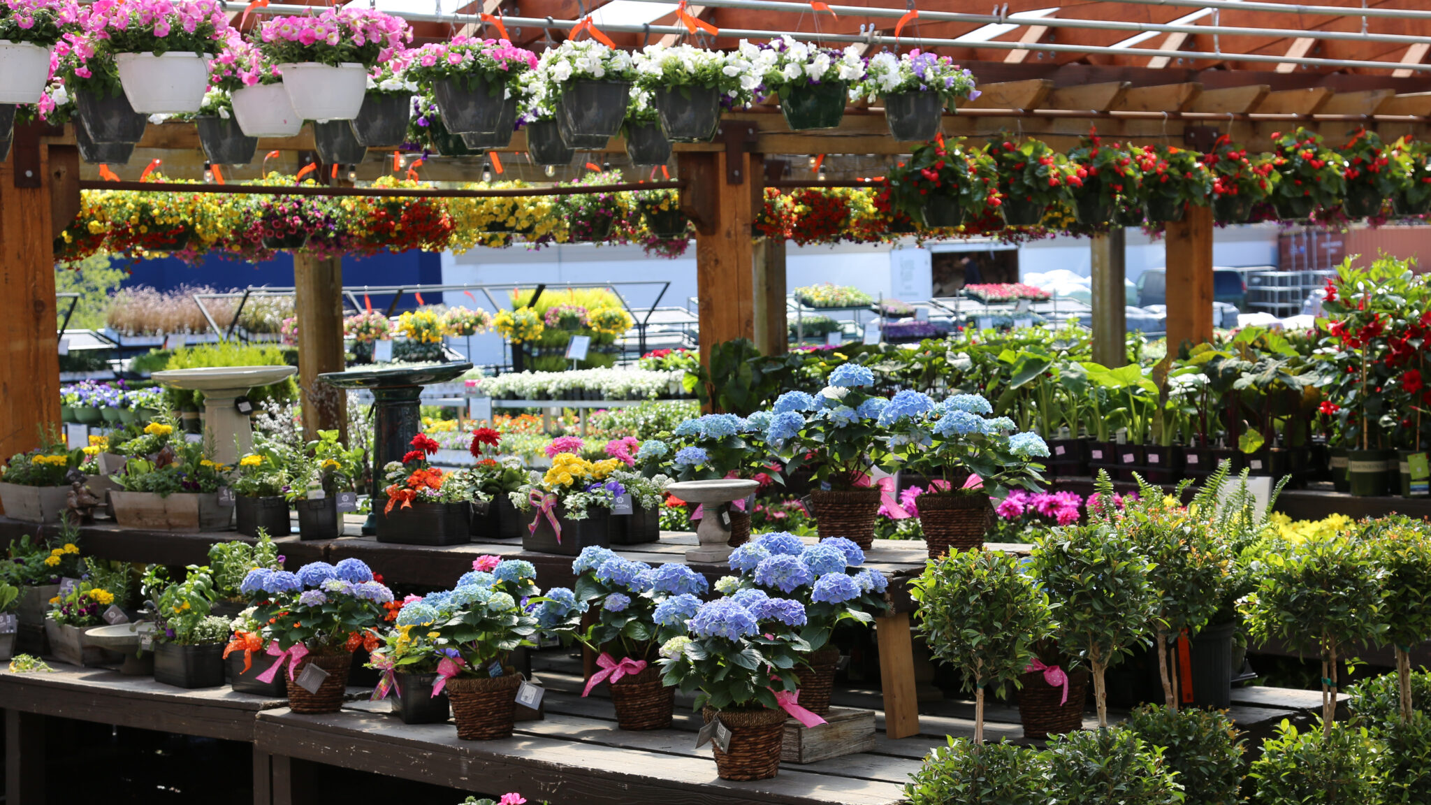 gardening, garden center, minneapolis