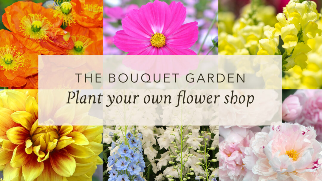 garden design, annuals, perennials
