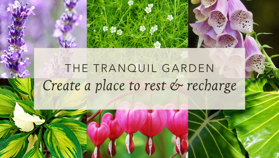 garden design, garden plan, inspiration, peaceful, perennials, annuals, tropicals