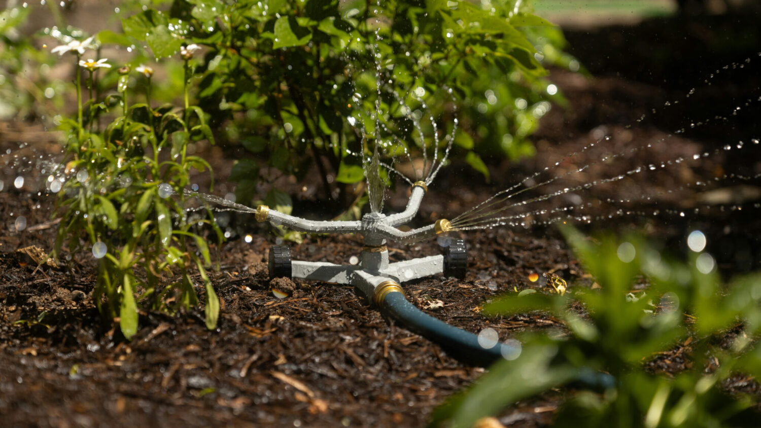 mulch and preen. diy landscaping
