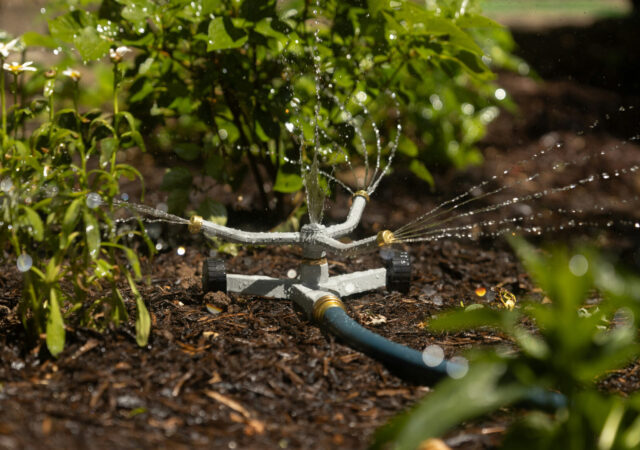 mulch and preen. diy landscaping