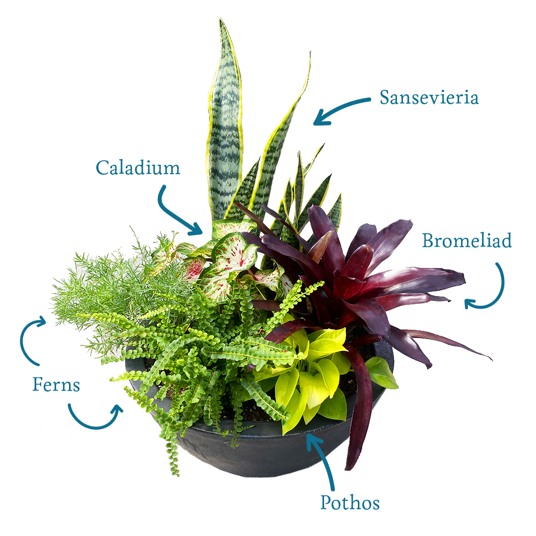 container recipe, container garden
