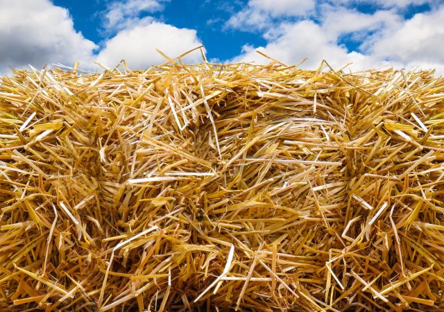 straw bales